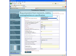 Submitting a request for protein from a transient transfection