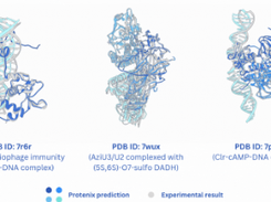 Protenix Screenshot 1