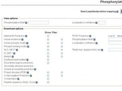 Phosphosites view features