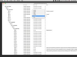 Protobuf Viewer Screenshot 2