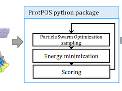 Workflow of ProtPOS