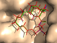 Ligand pose prediction