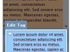 Editing a tag.