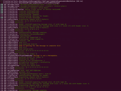 Running Test