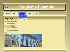 publicms print_dir plugin example