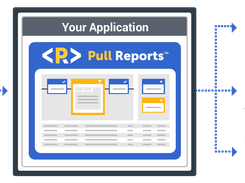 Pull Reports Screenshot 1