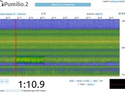 Visualization/analysis window