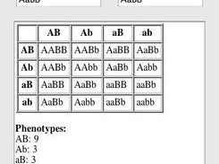 A sample result for parents AaBb and AaBb.