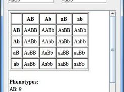 The punnett square application running on windows