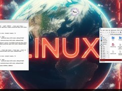 PuppEX Bookworm64 Build 240924 showing a frugal install