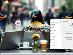 PuppEX Trixie64 KDE puppy Desktop