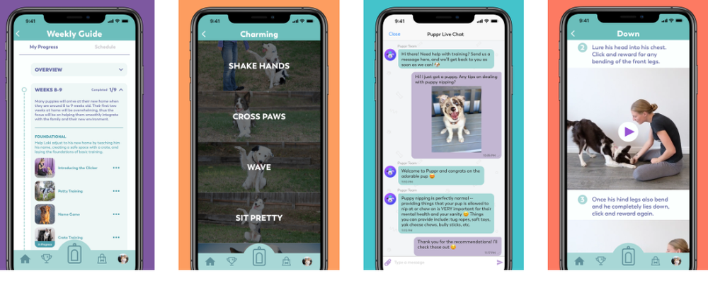 Puppr Screenshot 1