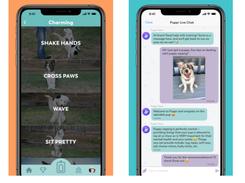 Puppr Screenshot 1
