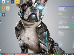 Puppy Linux Screenshot 1