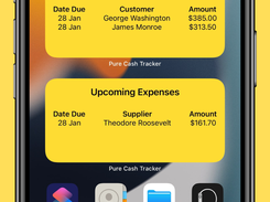 Pure Cash Tracker Home Screen Widgets