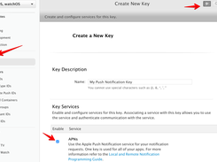 PushNotifications Screenshot 1