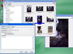 Photovault running in Windows XP