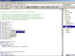 JavaScript Editor
