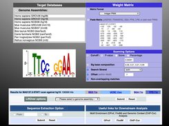 PWMScan Screenshot 1