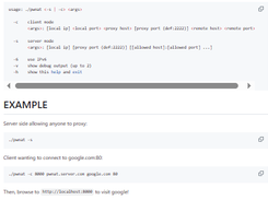 pwnat Screenshot 1