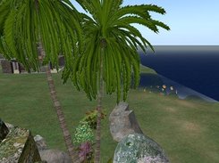 Example of a sim