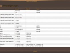 netstat