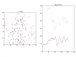 Example of agent-based simulation (predatorprey.py)