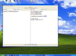 Test window (Windows XP)