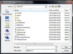 Choose a .py file as input.
