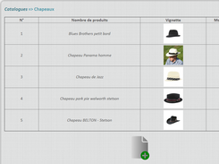 Catalog interface