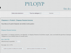 Summary before adding a product to the cart