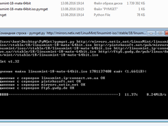 PyMGet in Windows