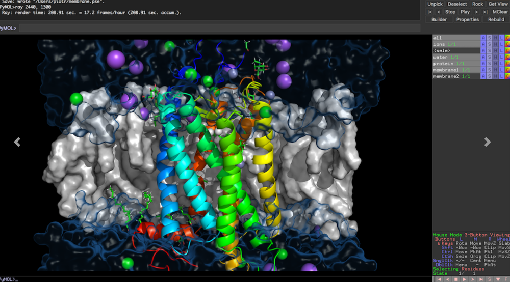 PyMOL Screenshot 1