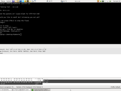 Top half is the command terminal running PyNuker, bottom half is a Wireshark window from the server receiving traffic from PyNuker, with the custom message highlighted in the packet contents.