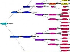 Newfoundland pedigree colored by number of descendants.