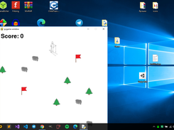Game window