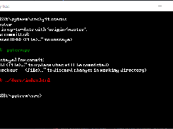 Git status