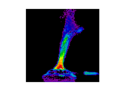 Synthetic image created from a Telops hyperspectral cube