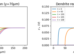 c_+ profiles in simulation 1