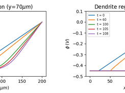 phi profiles in simulation 1