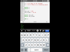 Numbers Data Type Scripting Mode