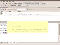 Console window with calltip active