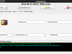 TV tags screen