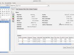 Lap info in record tab (1.9.1)