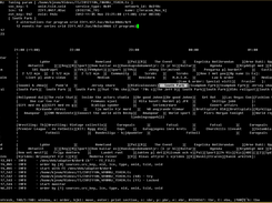 executing stream analyser