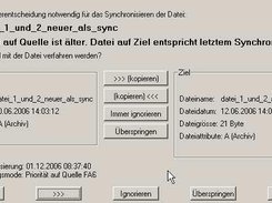 Nutzerabfrage bei der Synchronisation