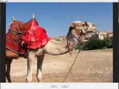 Camel Image Viewer