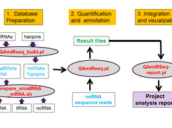 QAmiRSeq Screenshot 1