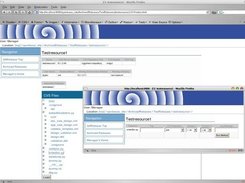 CVSResource display.