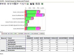 Example: Issues By Product and Status